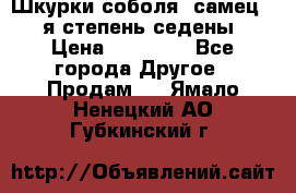 Шкурки соболя (самец) 1-я степень седены › Цена ­ 12 000 - Все города Другое » Продам   . Ямало-Ненецкий АО,Губкинский г.